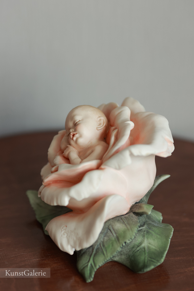 Младенец в розе, Giuseppe Armani, купить