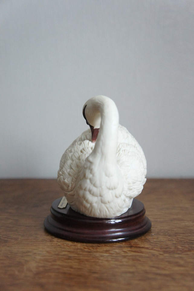 Белый лебедь чистит перья, Giuseppe Armani, купить