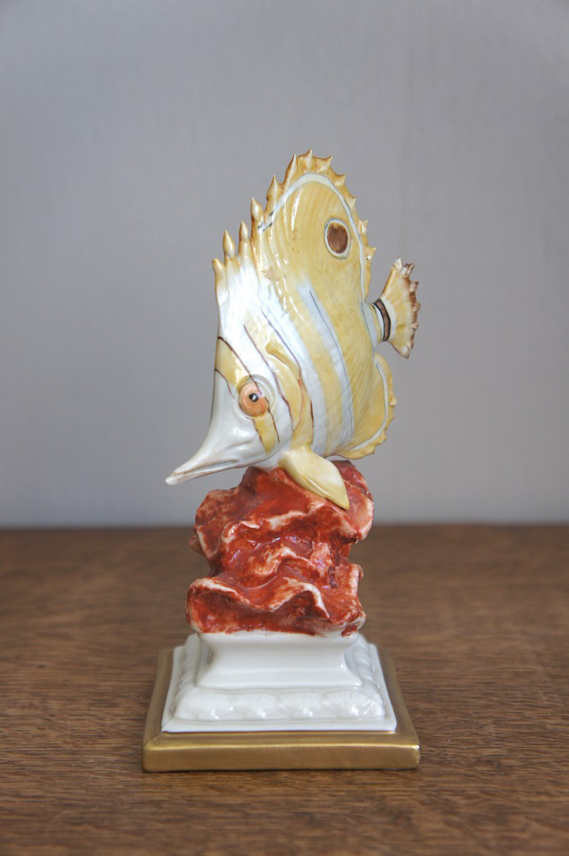 Рыба-бабочка Хелмон, Franco, статуэтка