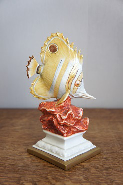 Рыба-бабочка Хелмон, Franco, Capodimonte, фарфоровые статуэтки. KunstGalerie