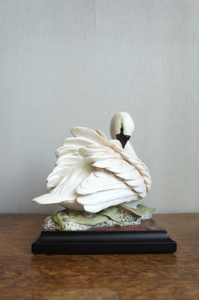 Лебедь в кувшинках, Giuseppe Armani, купить