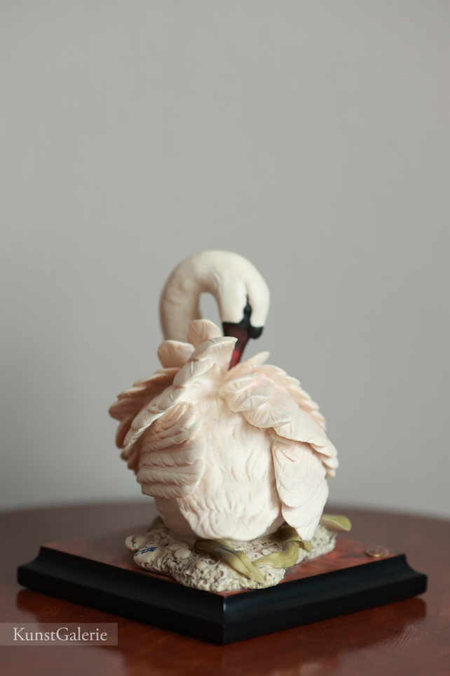 Лебедь в кувшинках, Giuseppe Armani, купить