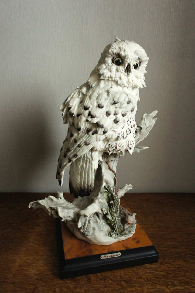 Белая сова, Giuseppe Armani, купить