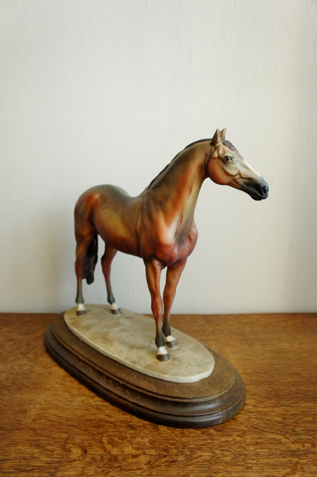 Гнедой конь, Giuseppe Armani, купить