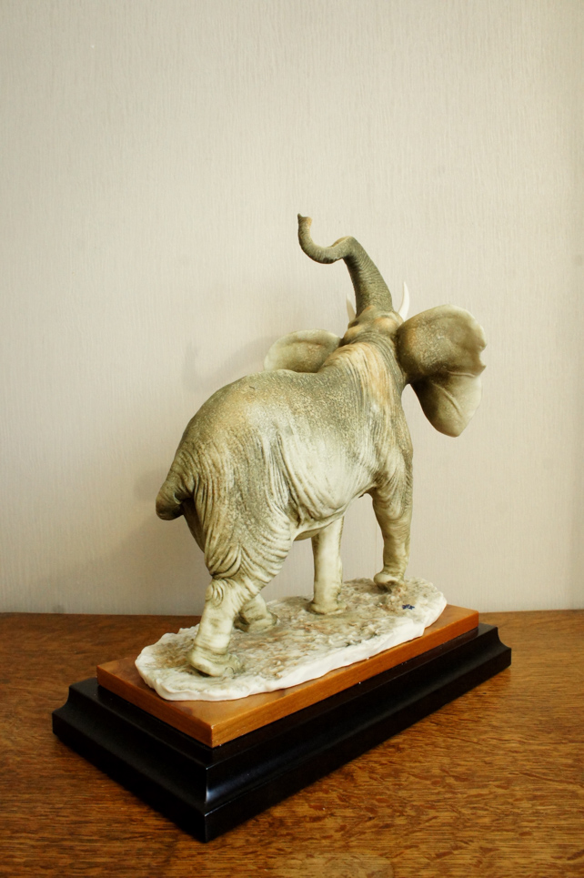 Слон на водопое, Giuseppe Armani, купить