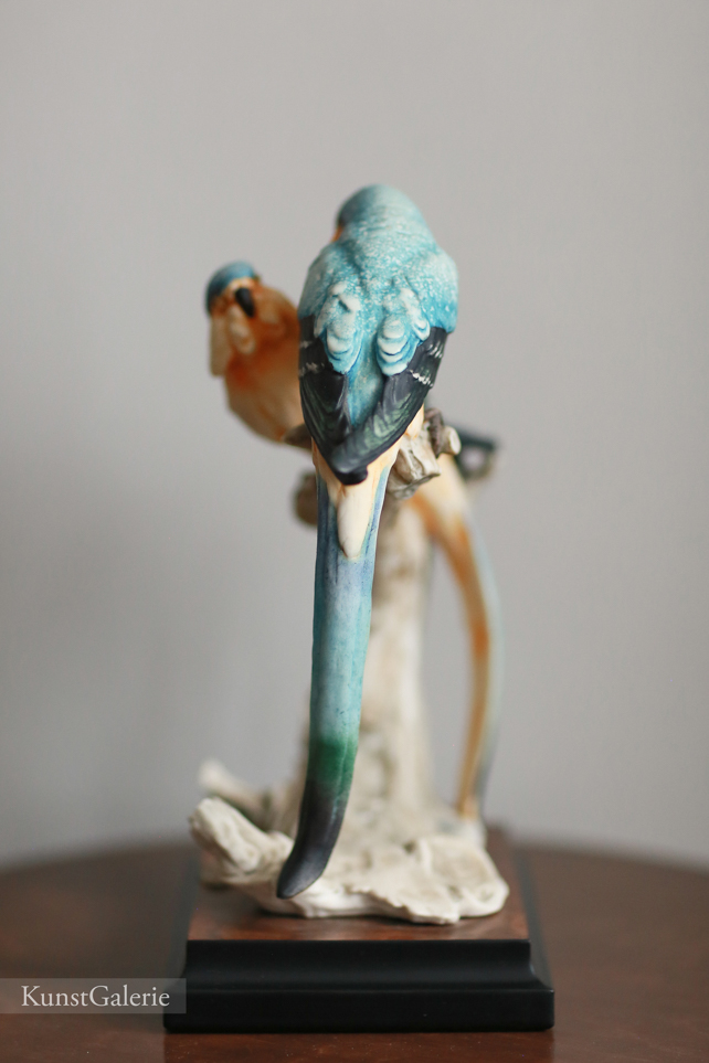 Волнистые попугайчики, Giuseppe Armani, купить